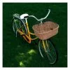VidaXL Panier Avant De Vélo Avec Couvercle 50x45x35 Cm Saule Naturel